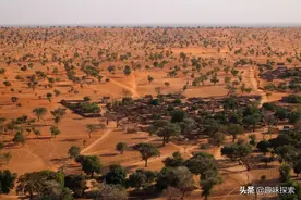 世界最干旱沙漠出现可喜变化，长出18亿棵树，地球变得更绿了图片