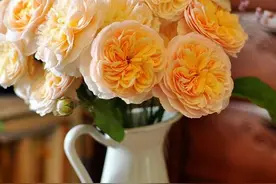 坐月子哪些禁忌有用哪些没用图片