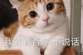 「表情包」我会让你无法拒绝的图片