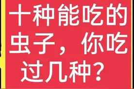 这些常见的虫子，其实都是美味佳肴，可惜很多人不敢吃图片