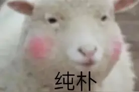 表情包丨我悄悄放了一个屁，十分期待风能把它吹到你嘴里图片