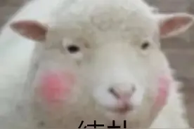 表情包丨我悄悄放了一个屁，十分期待风能把它吹到你嘴里图片