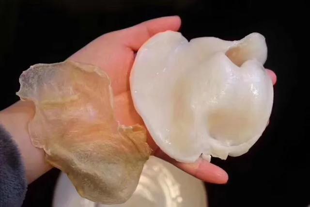 蝴蝶胶怎么吃 蝴蝶胶吃法