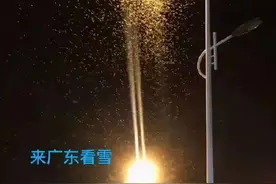广州“下大雪”？走近一看头皮发麻！图片
