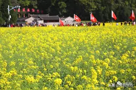 在古田的油菜花海，重逢久违的绚烂春天图片