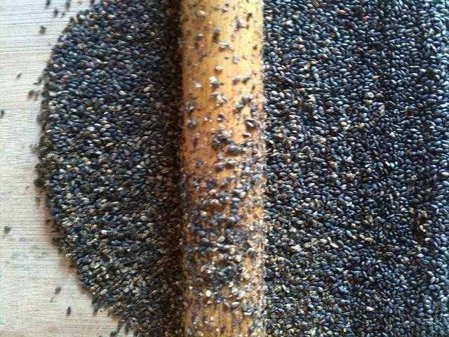 老年人养生，吃黑芝麻还是白芝麻？营养师用成分告诉你区别