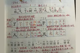 一年级语文的读文和写字要求，明白要求后，教学和辅导才能不越位图片