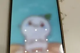 屏出现了彩条还有救吗图片