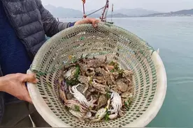 半岛叨叨丨没海鲜不吃饭的青岛人注意啦！5月1日起休渔，最后一波本周末到货图片