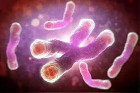 为何人类不能永生？生物学家：人类只不过是“打工仔”而已图片