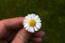 不要等到痛腚，再思痛，护好小菊花，从这些小事开始吧图片