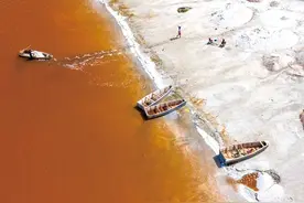 一粒盐的奇幻之旅图片