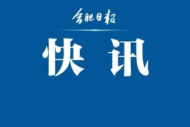 刚刚！合肥又一城区党政“换帅”！“80后”的他提名为区长候选人图片