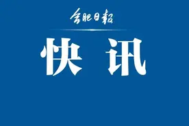 刚刚！合肥又一城区党政“换帅”！“80后”的他提名为区长候选人图片