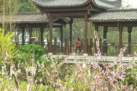 【万州】这么多登山健身步道，春光正好，走起图片