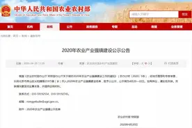 广西这7地要建国家级强镇！可享以奖代补财政支持图片