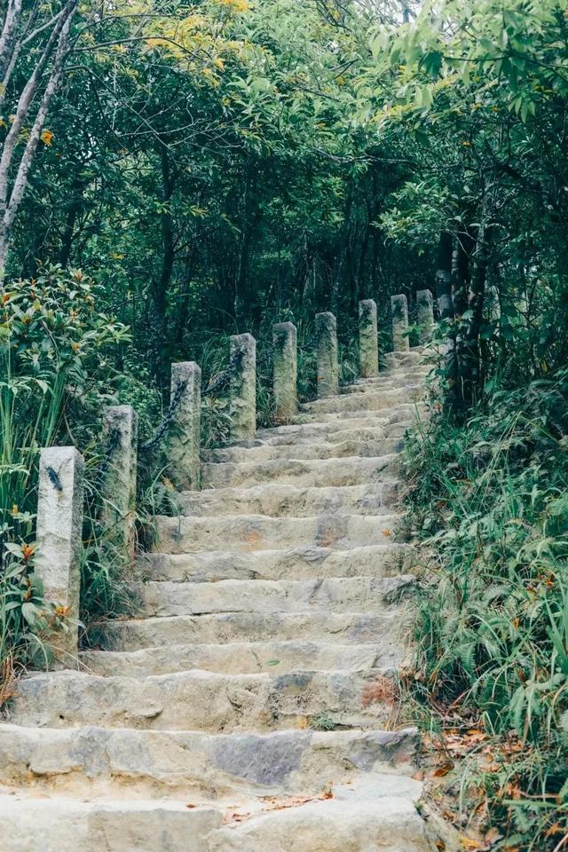 深圳值得征服的10座山，你去过几座？