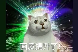 近期大火的猫咪表情来源！网友：看完增加了奇怪的知识图片