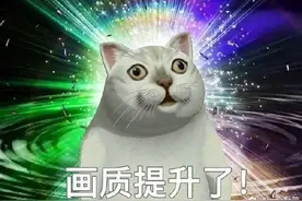 近期大火的猫咪表情来源！网友：看完增加了奇怪的知识图片