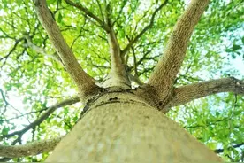 广西南宁这座城市适不适合养老居住怎么样？图片