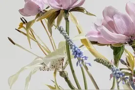 妻子：是家中的天使，也是愤怒的女神图片