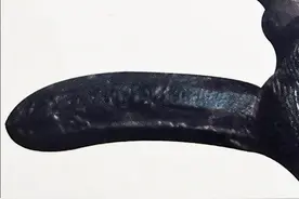 援华飞虎队修理所原址发现古墓，出奇特文物，女考古队员背后议论图片