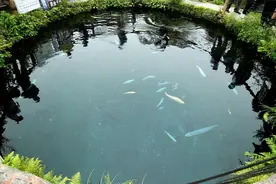 如果在山上挖一个池塘，不放鱼，里面会慢慢有鱼吗？图片