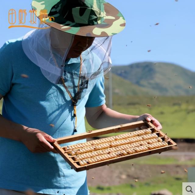 蜂王浆怎么吃效果最好？蜂王浆每天吃多少量？