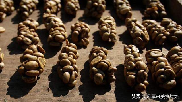 几千元一斤的猫屎咖啡是怎么来的？真是“猫拉出来的屎”？