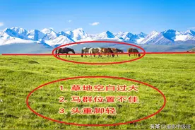 不及格的照片！这4种风光摄影的忌讳，摄影新手别忽视图片