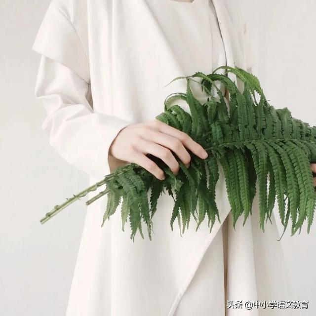 （每日一课）文言文学习：范仲淹《岳阳楼记》带翻译和鉴赏