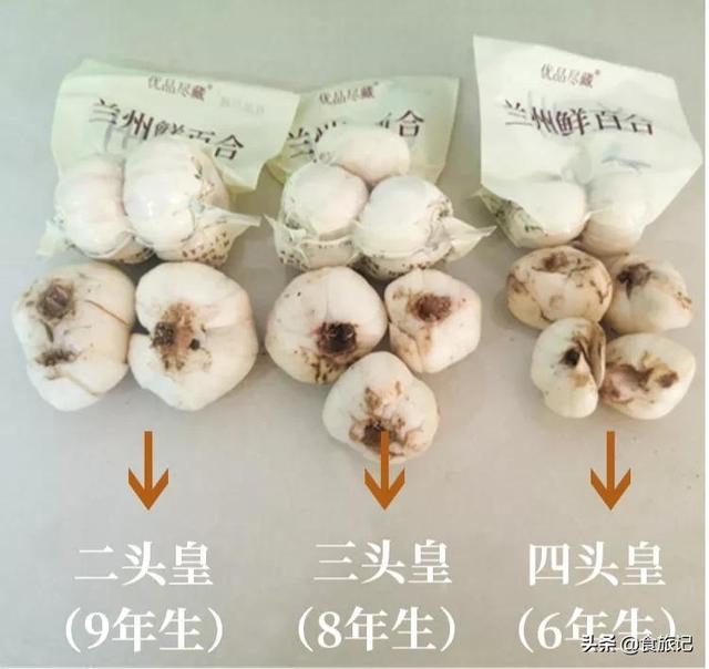 兰州甜百合，可以生吃的百合