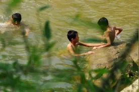 小说《老伙计》图片