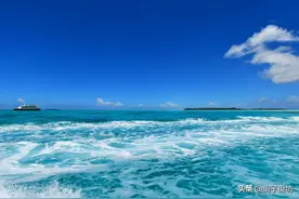 太平洋突然出现巨大岛状物，面积如2万个足球场，科学家感到惊喜图片