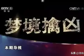 2008年，吉林一男子被害，警方根据其姐姐的梦境，找到埋尸处破案图片
