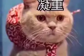 为什么晚上不能在阳台上晾衣服？图片