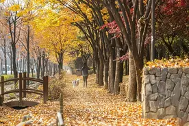 邵伟华《四柱预测学》：人生，活的就是一个心态图片