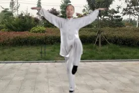 简单易学，功精理明的“九连环”健身功图片