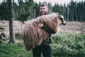 为啥一下雨，羊就被“点穴”傻站着不动？场面很诡异，理由很搞笑图片