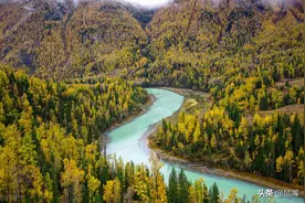 《庄子》原文 译文图片