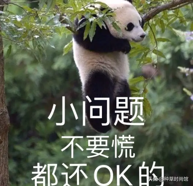 浣犵殑娲楅潰濂朵笂榛戝悕鍗曚簡鍚楋紵杩?娆惧埆涔帮紝浼氱儌鑴? onerror=