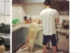 “当外卖难吃时，如何给差评？”，学到了，哈哈哈哈哈图片