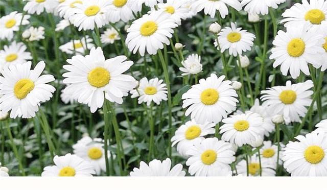 瞎洗脸，毁了多少女人的好皮肤！这种正确的洗脸方式你需要知道