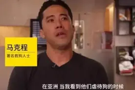 爱狗人士非法禁锢，殴打狗肉店店主：有些人只爱狗，不爱人图片