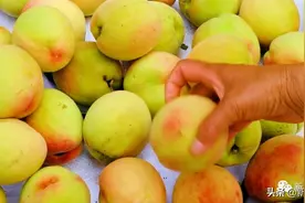 食尚岩味：水蜜桃图片