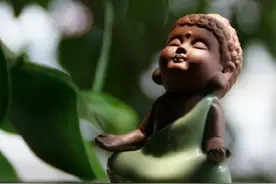 茶宠三分靠选，七分靠养！图片