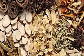 四白五黄汤治疗慢性粒细胞白血病图片