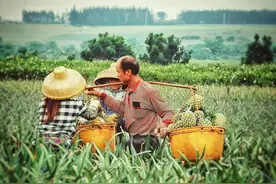 特稿 | 广东菠萝大女主“二人传”图片