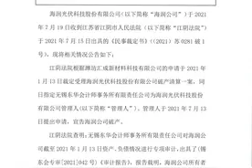 唏嘘！海润光伏宣告破产图片