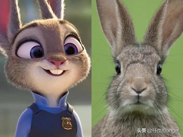 你知道这15部经典动画片中的卡通动物,本来长什么样吗?